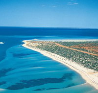 Monkey Mia - ACT Tourism