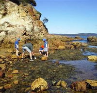Sapphire Coast Marine Discovery Centre - ACT Tourism