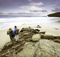Wilderness Coast Walk - ACT Tourism