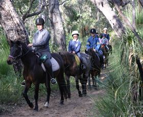 Mirravale Horse Riding School - ACT Tourism 0