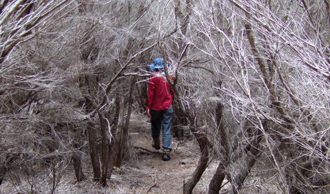 Nadgee Nature Reserve - ACT Tourism 3