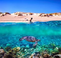 Snorkel the Ningaloo Reef - ACT Tourism