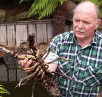 Lobster Ponds - ACT Tourism