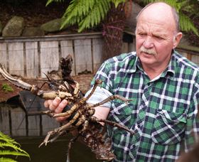 Lobster Ponds - ACT Tourism 0
