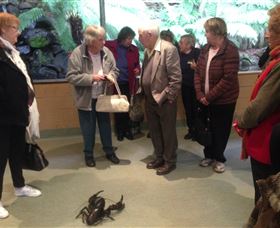 Lobster Ponds - ACT Tourism 1