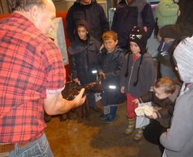 Lobster Ponds - ACT Tourism 3