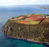 Table Cape - ACT Tourism