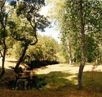 Oldina Picnic Area - ACT Tourism