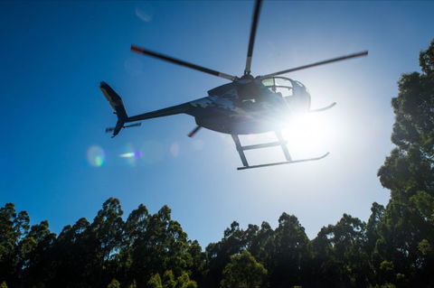 Tall Timbers Adventure Tours - ACT Tourism 2