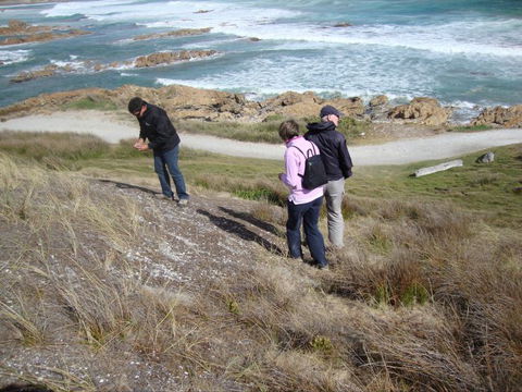 Tall Timbers Adventure Tours - ACT Tourism 12