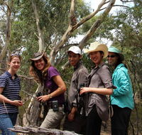 Echidna Walkabout Nature Tours - ACT Tourism