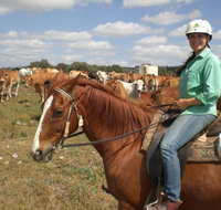 Myella Farm Stay Tours - ACT Tourism