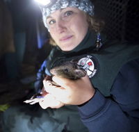 Naturewise at Tidbinbilla - ACT Tourism