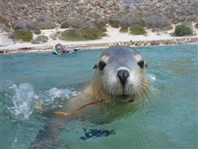 Calypso Star Charters - ACT Tourism 0