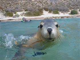 Calypso Star Charters - ACT Tourism 2