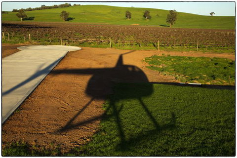 Barossa Helicopters Pty Ltd - ACT Tourism 0