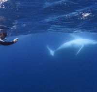 Sunreef Mooloolaba - ACT Tourism