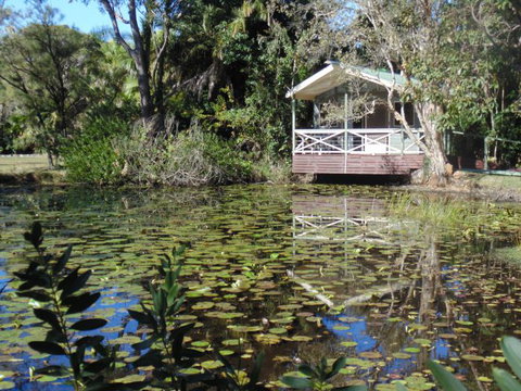 Darlington Beach NRMA Holiday Park - ACT Tourism 5