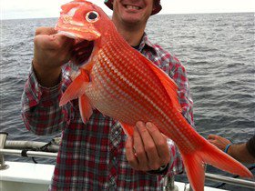 Goin' Off Safaris - ACT Tourism 1