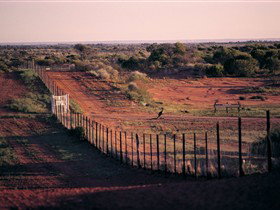 Tri State Safaris - ACT Tourism 0