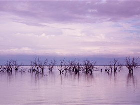 Tri State Safaris - ACT Tourism 8