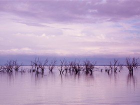 Tri State Safaris - ACT Tourism 9