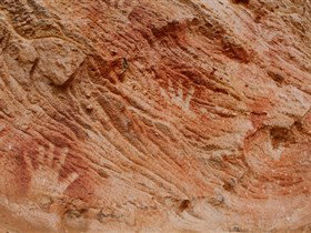 Tri State Safaris - ACT Tourism 10