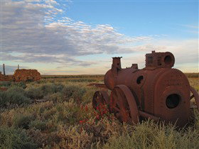 Tri State Safaris - ACT Tourism 11