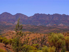 Tri State Safaris - ACT Tourism 17