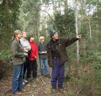 Great Western Tiers Forest Walks Tasmania - ACT Tourism