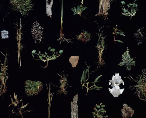 Weswal Gallery - ACT Tourism 0