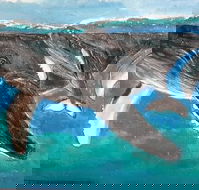 Kaz Art-Whitewash Gallery - ACT Tourism