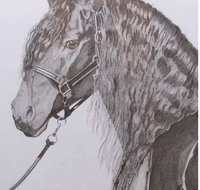 Great Lakes Art Society - ACT Tourism