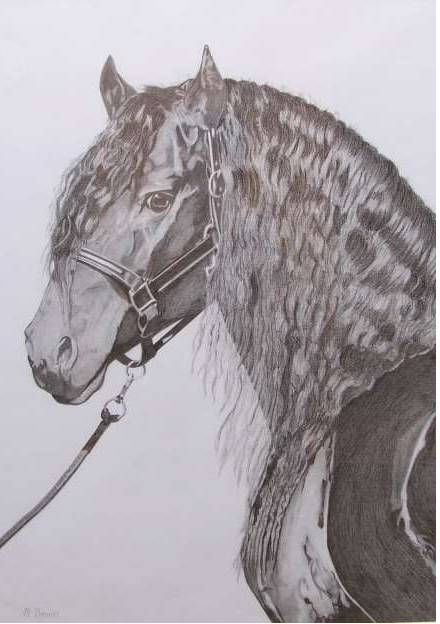 Great Lakes Art Society - ACT Tourism 0