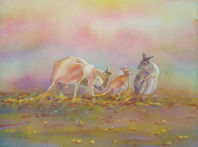 Territory Colours - ACT Tourism 1