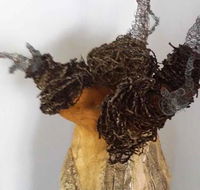 Caldera Wildscapes Gallery - ACT Tourism