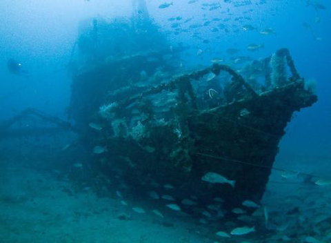 Kirra Dive “On The Tweed” - ACT Tourism 4