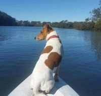 Australis Canoes  Kayaks - ACT Tourism