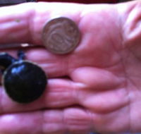 Hurleys Aquariums - ACT Tourism