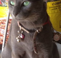 Pets and Saddles - ACT Tourism