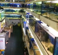 Clearwater Aquariums - ACT Tourism