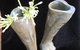 Sheoak Shack Gallery Cafe - thumb 3
