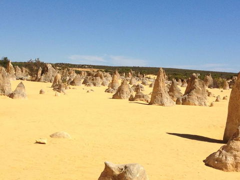 Pinnacles Desert, Koalas And Sandboarding 4WD Day Tour From Perth - ACT Tourism 15
