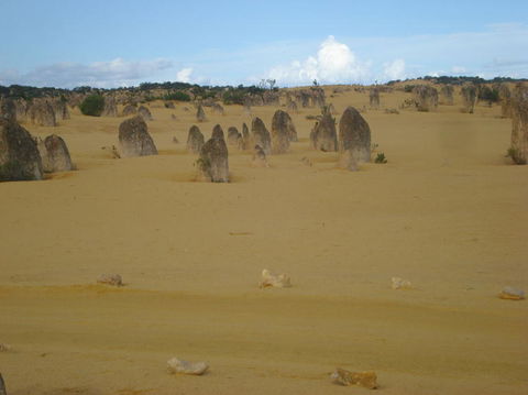 Pinnacles Desert, Koalas And Sandboarding 4WD Day Tour From Perth - ACT Tourism 23