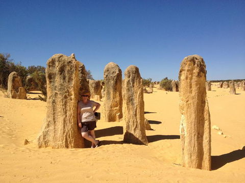 Pinnacles Desert, Koalas And Sandboarding 4WD Day Tour From Perth - ACT Tourism 17