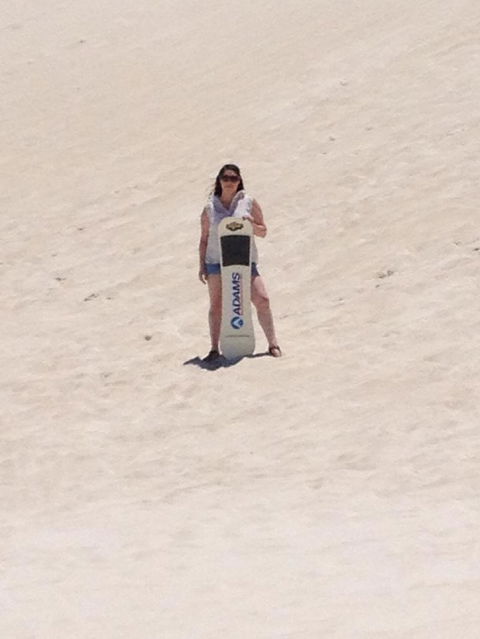 Pinnacles Desert, Koalas And Sandboarding 4WD Day Tour From Perth - ACT Tourism 21