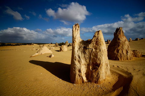 Pinnacles Desert, Koalas And Sandboarding 4WD Day Tour From Perth - ACT Tourism 6