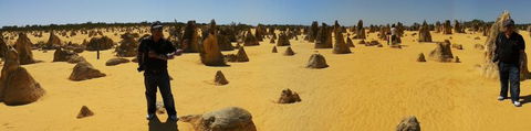 Pinnacles Desert, Koalas And Sandboarding 4WD Day Tour From Perth - ACT Tourism 11