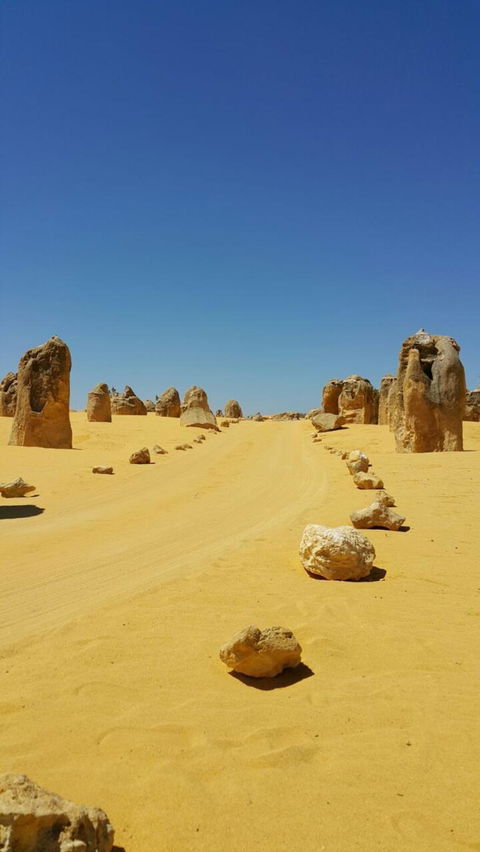 Pinnacles Desert, Koalas And Sandboarding 4WD Day Tour From Perth - ACT Tourism 3