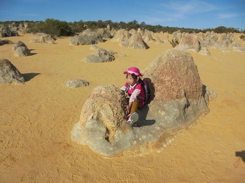 Pinnacles Desert, Koalas And Sandboarding 4WD Day Tour From Perth - ACT Tourism 7